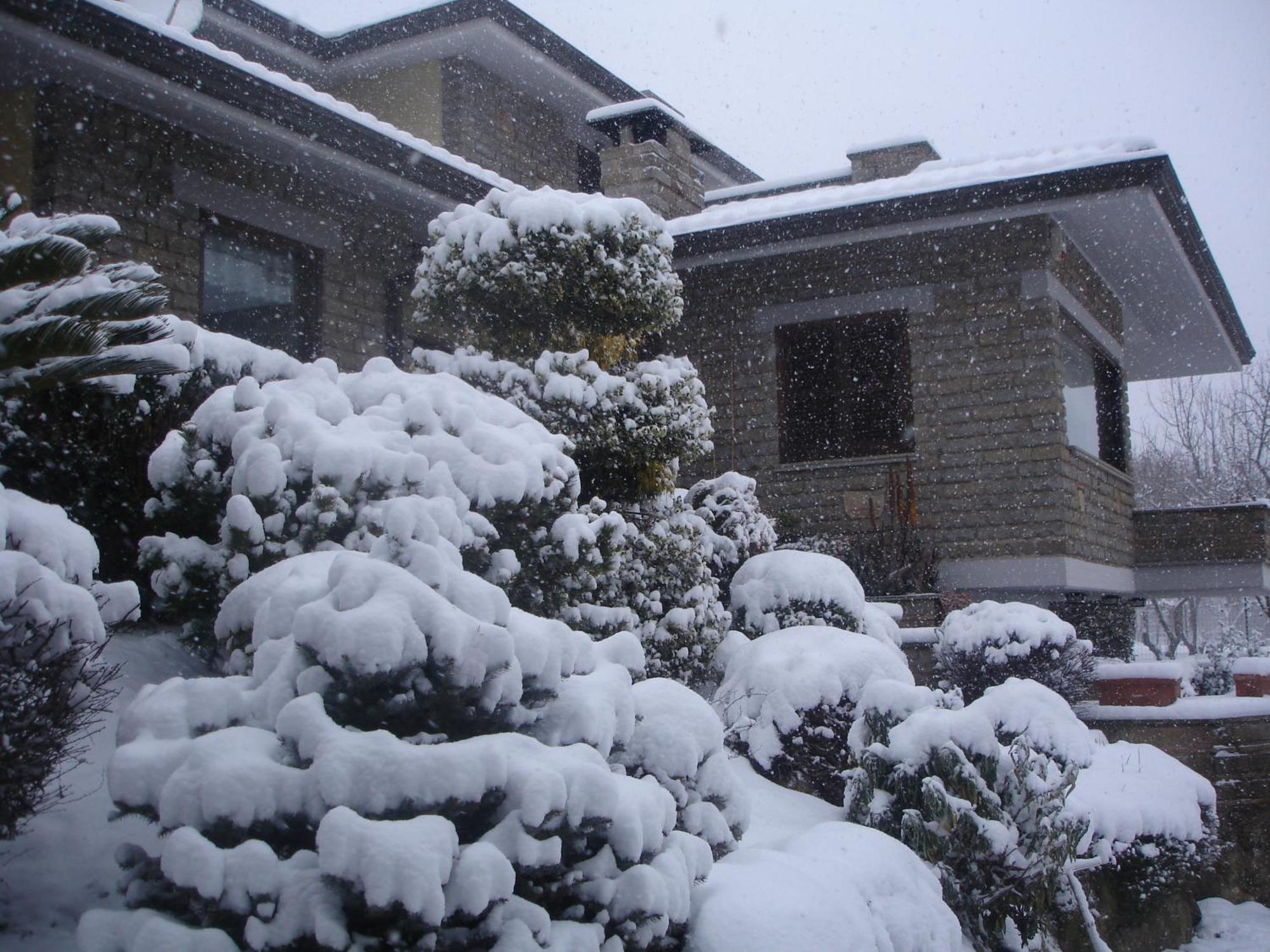 B&B Le Palme Bassano Romano Luaran gambar